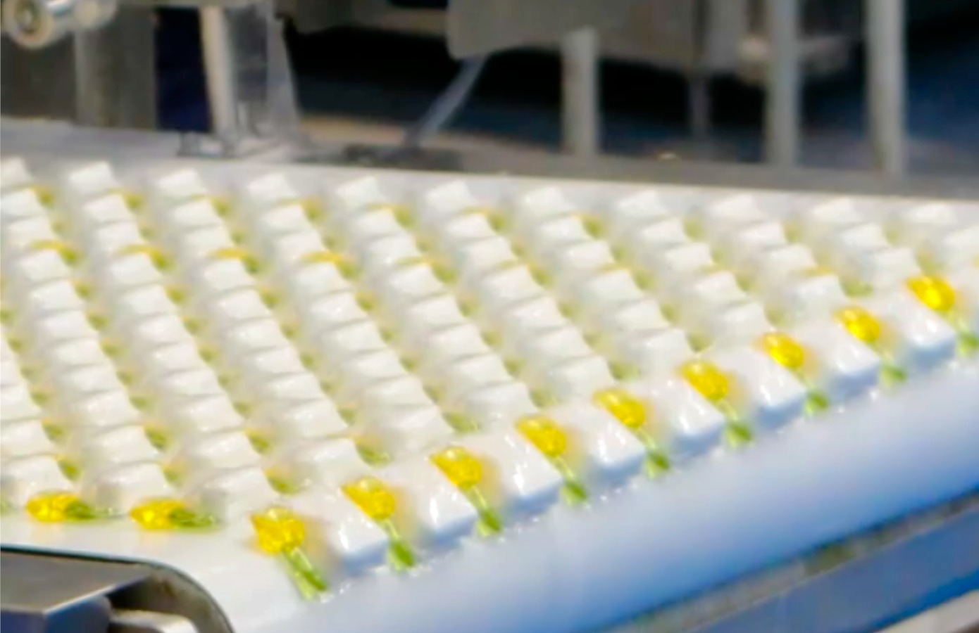 vaatwascapsules productie